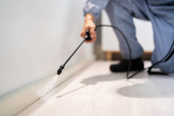Licensed Mosquito Control service in Claypool Hill, VA - Show Me Pest Control