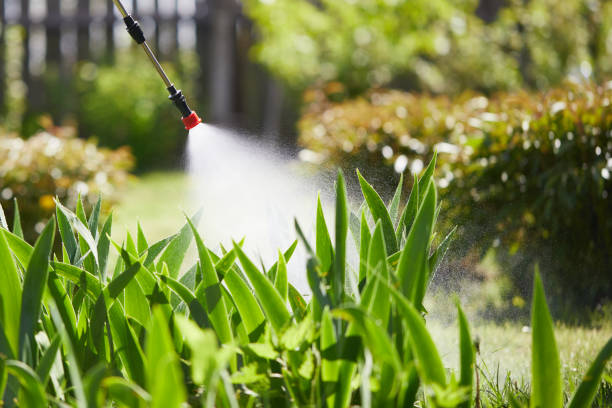 24/7 Emergency Mosquito Control experts in Claypool Hill, VA