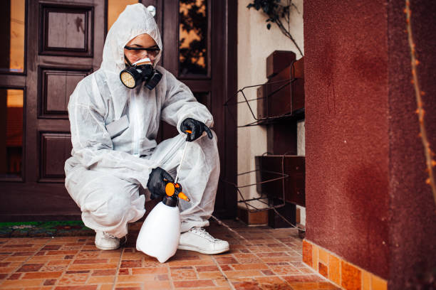 Reliable Mosquito Control contractor in Claypool Hill, VA by Show Me Pest Control