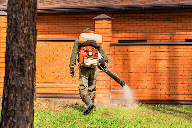 Top rated local Mosquito Control specialists in Claypool Hill, VA